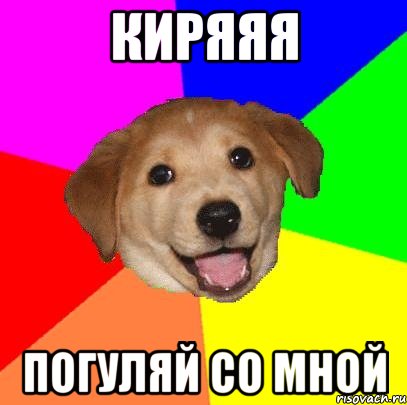 киряяя погуляй со мной, Мем Advice Dog