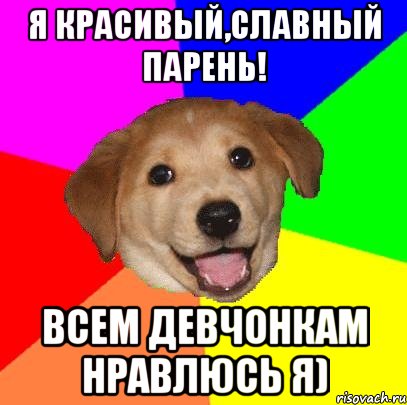 я красивый,славный парень! всем девчонкам нравлюсь я), Мем Advice Dog