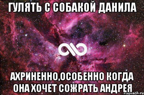 гулять с собакой данила ахриненно,особенно когда она хочет сожрать андрея, Мем офигенно