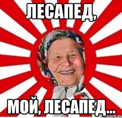 лесапед, мой, лесапед..., Мем  бабуля