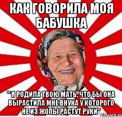 как говорила моя бабушка " я родила твою мать, что бы она вырастила мне внука у которого не из жопы растут руки", Мем  бабуля