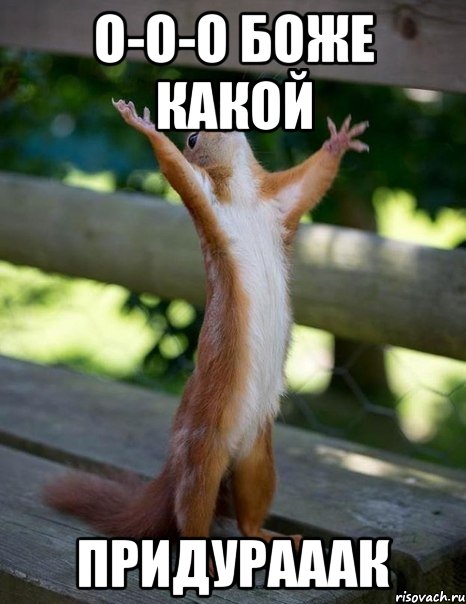 о-о-о боже какой придурааак, Мем    белка молится