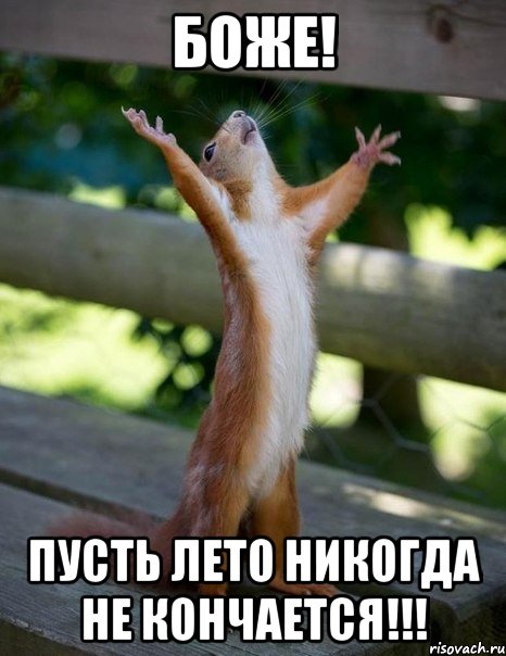 боже! пусть лето никогда не кончается!!!, Мем    белка молится