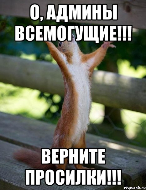 о, админы всемогущие!!! верните просилки!!!, Мем    белка молится