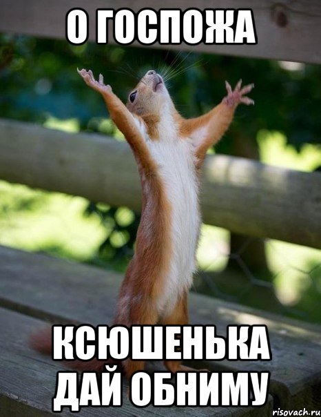 о госпожа ксюшенька дай обниму, Мем    белка молится