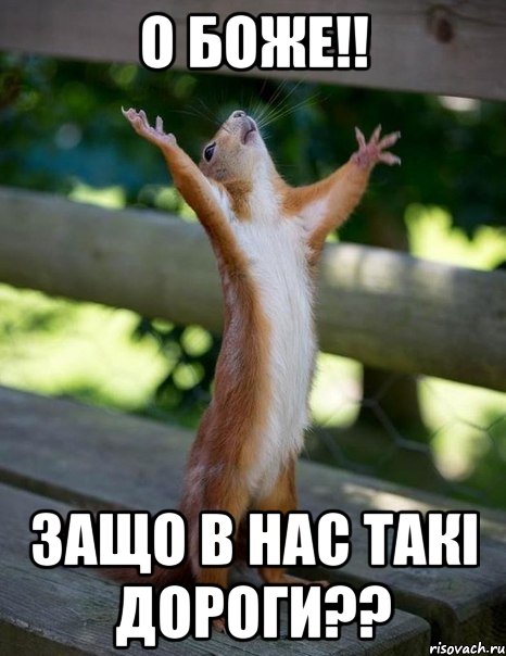 о боже!! защо в нас такі дороги??, Мем    белка молится
