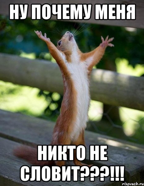 ну почему меня никто не словит???!!!, Мем    белка молится
