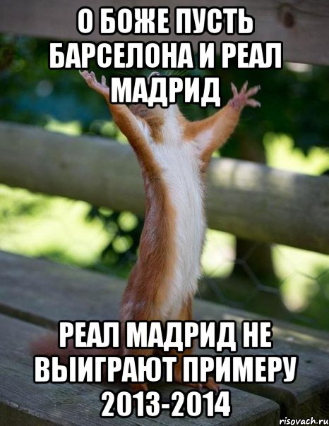 о боже пусть барселона и реал мадрид реал мадрид не выиграют примеру 2013-2014, Мем    белка молится