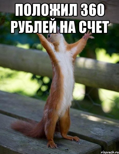положил 360 рублей на счет , Мем    белка молится