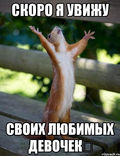 скоро я увижу своих любимых девочек❤, Мем    белка молится
