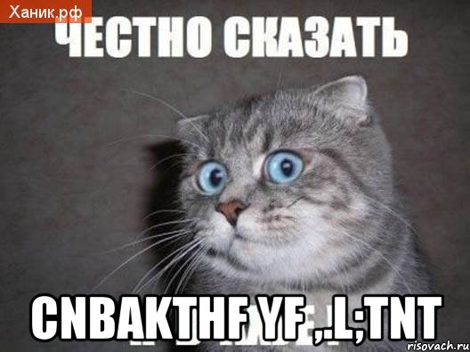  cnbakthf yf ,.l;tnt, Мем  удивлённый кот