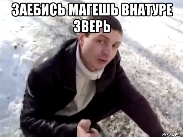 заебись магешь внатуре зверь 
