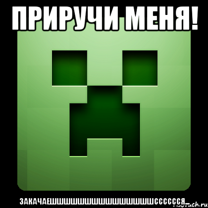 приручи меня! закачаешшшшшшшшшшшшшшшсссссся..., Мем Creeper