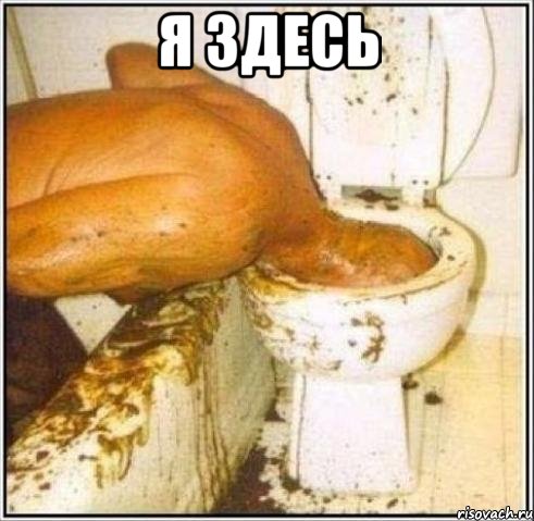 я здесь , Мем Дайвер