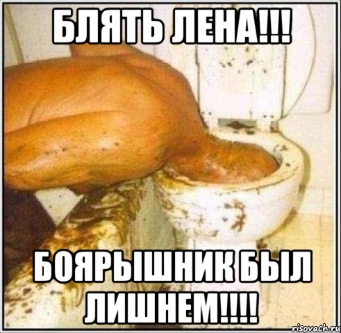 блять лена!!! боярышник был лишнем!!!, Мем Дайвер