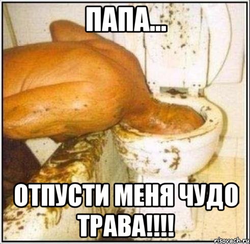 папа... отпусти меня чудо трава!!!, Мем Дайвер