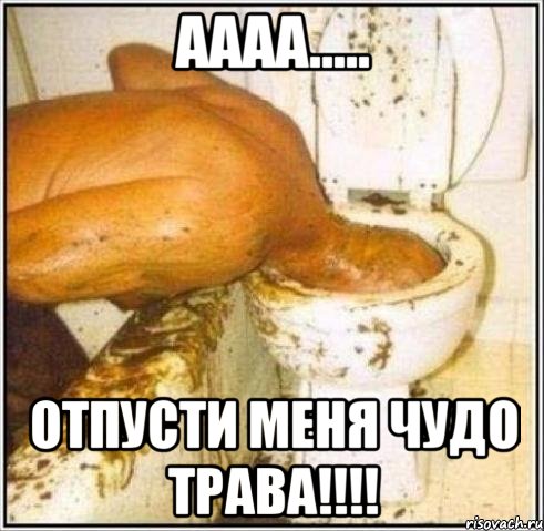 аааа..... отпусти меня чудо трава!!!, Мем Дайвер