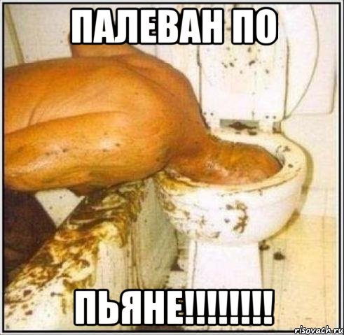 палеван по пьяне!!!, Мем Дайвер