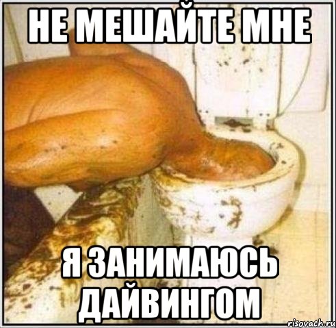 не мешайте мне я занимаюсь дайвингом, Мем Дайвер