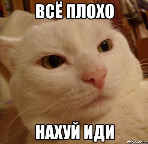 всё плохо нахуй иди