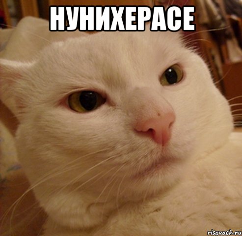 нунихерасе 