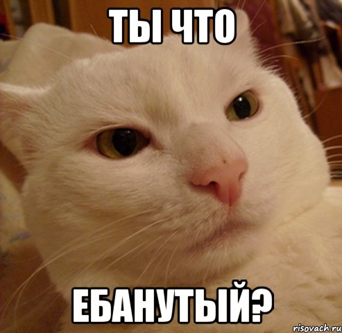 ты что ебанутый?