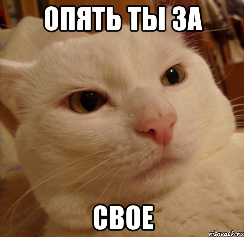опять ты за свое