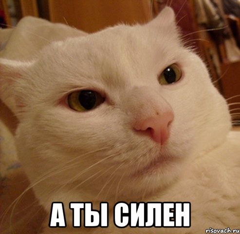  а ты силен
