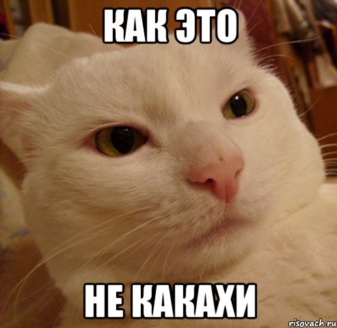 как это не какахи