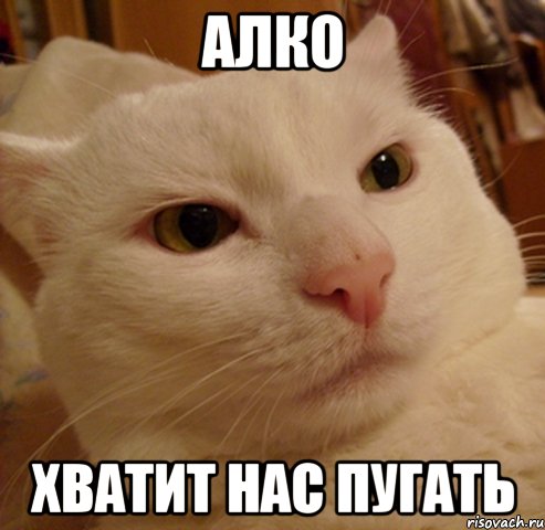 алко хватит нас пугать