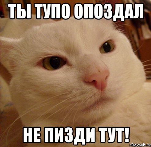 ты тупо опоздал не пизди тут!