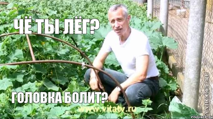 Чё ты лёг? Головка болит?, Мем  Доктор попов