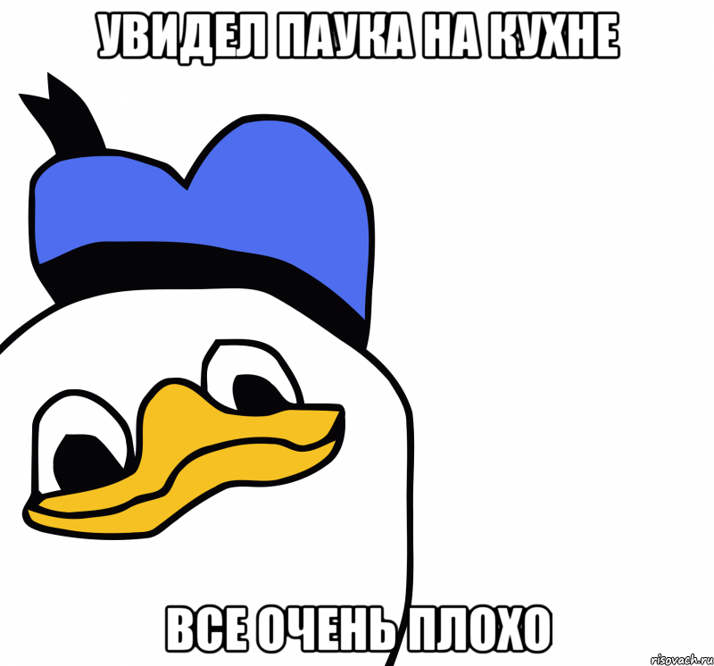 увидел паука на кухне все очень плохо, Мем ВСЕ ОЧЕНЬ ПЛОХО