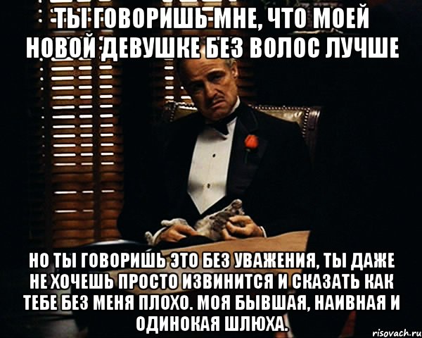 ты говоришь мне, что моей новой девушке без волос лучше но ты говоришь это без уважения, ты даже не хочешь просто извинится и сказать как тебе без меня плохо. моя бывшая, наивная и одинокая шлюха., Мем Дон Вито Корлеоне