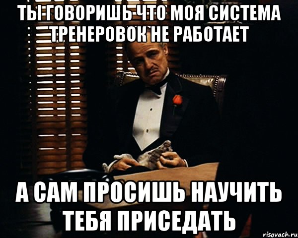 ты говоришь что моя система тренеровок не работает а сам просишь научить тебя приседать, Мем Дон Вито Корлеоне