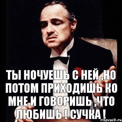 Ты ночуешь с ней ,но потом приходишь ко мне и говоришь ,что любишь ! Сучка !, Комикс Дон Вито Корлеоне 1