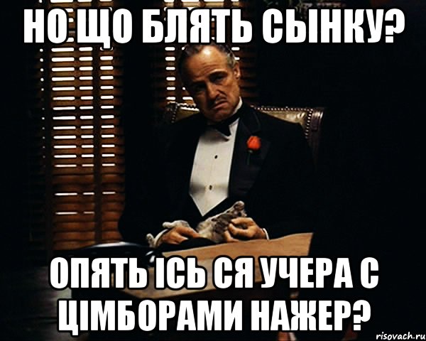 но що блять сынку? опять ісь ся учера с цімборами нажер?, Мем Дон Вито Корлеоне