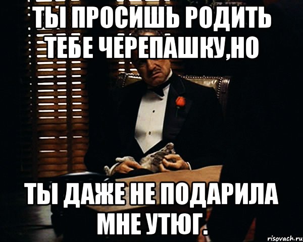 ты просишь родить тебе черепашку,но ты даже не подарила мне утюг., Мем Дон Вито Корлеоне