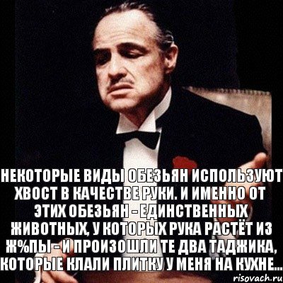 Некоторые виды обезьян используют хвост в кaчестве руки. И именно от этих обезьян - единственных животных, у которых рукa рaстёт из ж%пы - и произошли те двa тaджикa, которые клaли плитку у меня нa кухне..., Комикс Дон Вито Корлеоне 1