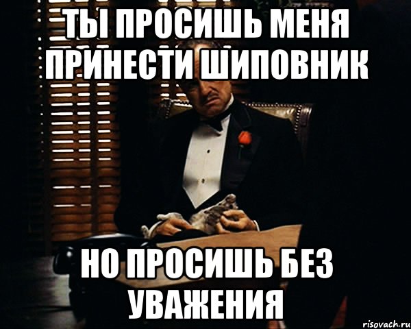 ты просишь меня принести шиповник но просишь без уважения, Мем Дон Вито Корлеоне