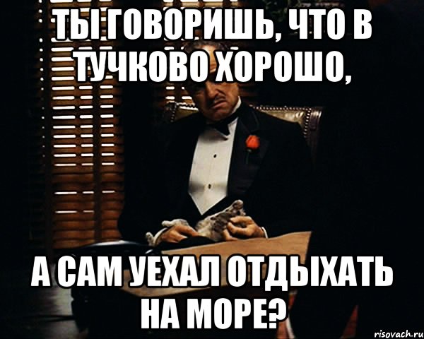 ты говоришь, что в тучково хорошо, а сам уехал отдыхать на море?, Мем Дон Вито Корлеоне