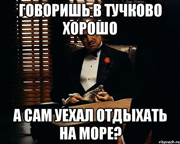 говоришь в тучково хорошо а сам уехал отдыхать на море?, Мем Дон Вито Корлеоне