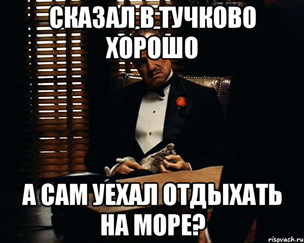 сказал в тучково хорошо а сам уехал отдыхать на море?, Мем Дон Вито Корлеоне