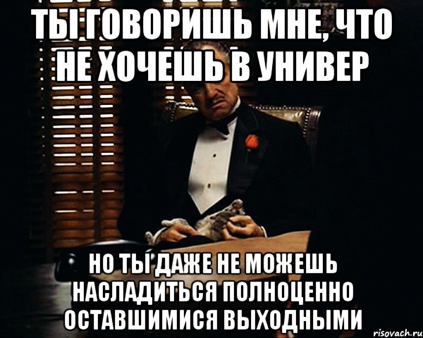 ты говоришь мне, что не хочешь в универ но ты даже не можешь насладиться полноценно оставшимися выходными, Мем Дон Вито Корлеоне