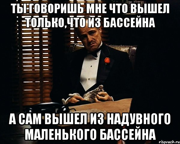 ты говоришь мне что вышел только,что из бассейна а сам вышел из надувного маленького бассейна, Мем Дон Вито Корлеоне