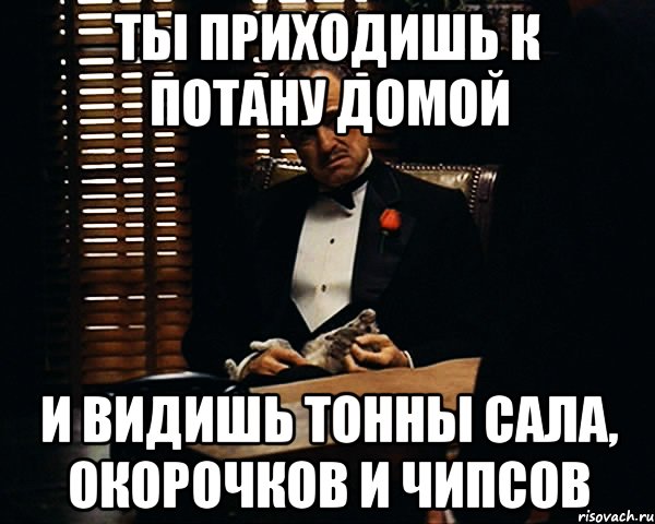 ты приходишь к потану домой и видишь тонны сала, окорочков и чипсов, Мем Дон Вито Корлеоне