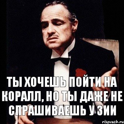 ТЫ ХОЧЕШЬ ПОЙТИ НА КОРАЛЛ, НО ТЫ ДАЖЕ НЕ СПРАШИВАЕШЬ У ЗИИ, Комикс Дон Вито Корлеоне 1