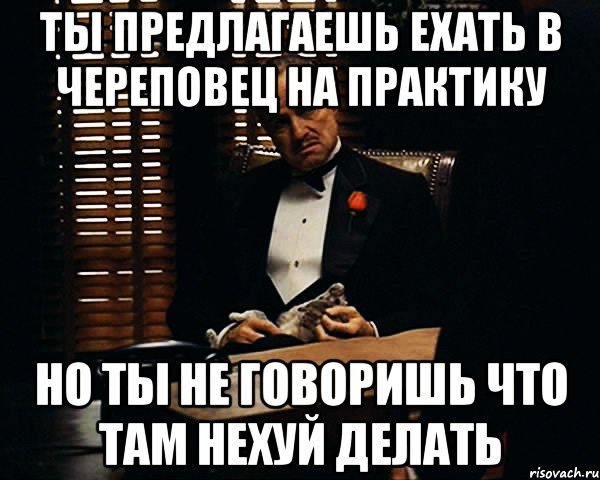 ты предлагаешь ехать в череповец на практику но ты не говоришь что там нехуй делать, Мем Дон Вито Корлеоне