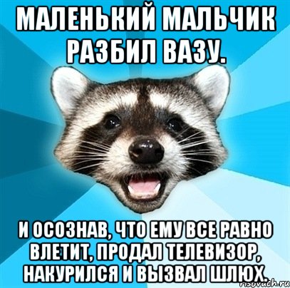 маленький мальчик разбил вазу. и осознав, что ему все равно влетит, продал телевизор, накурился и вызвал шлюх., Мем Енот-Каламбурист