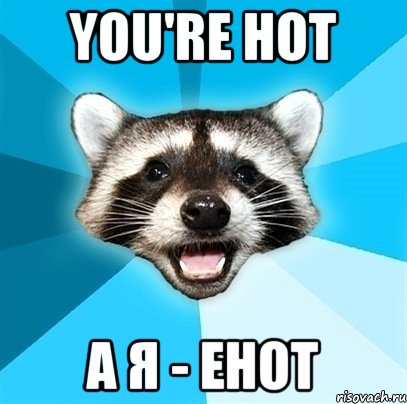 you're hot а я - енот, Мем Енот-Каламбурист